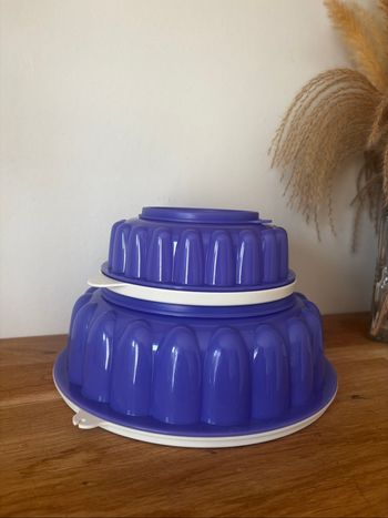 Lot de deux moules à charlotte Tupperware violet
