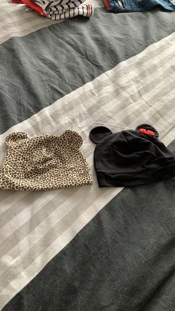 Bonnet