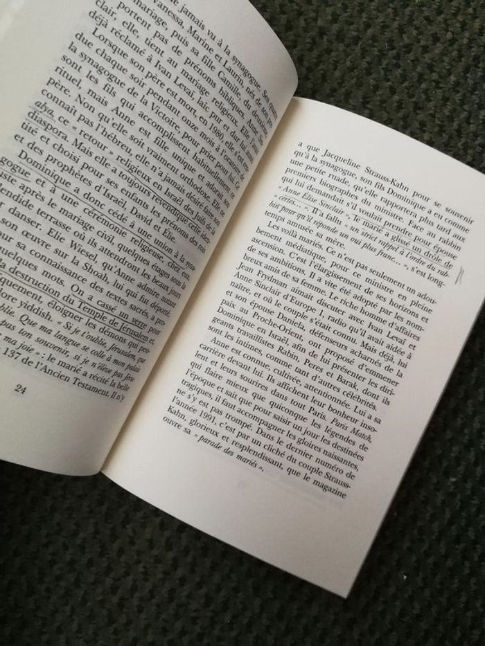 Les Strauss-Kahn, éditions Albin Michel - photo numéro 5