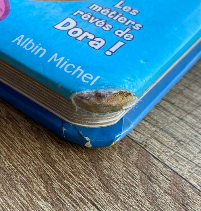 Dora «  quand je serais grande » - photo numéro 4