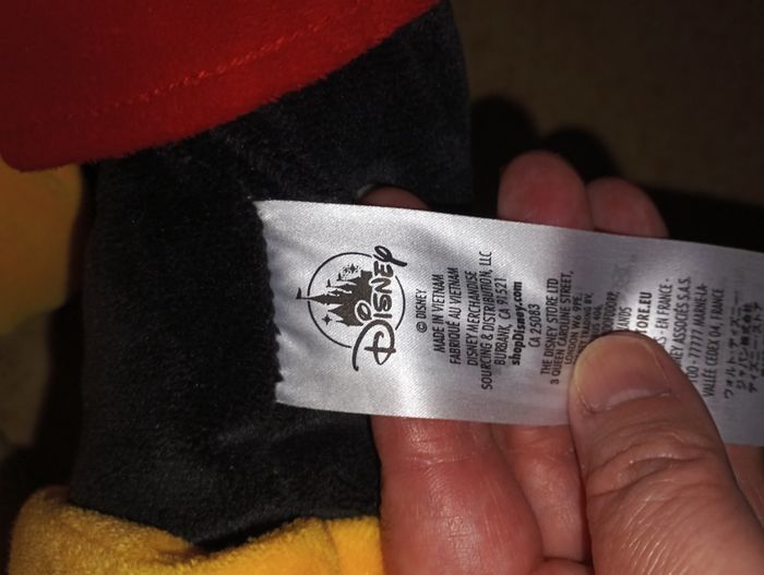 Grand Mickey - photo numéro 2