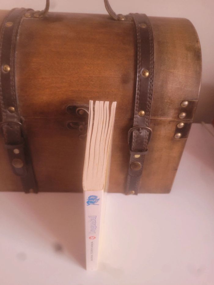 Manga Dragon Ball Pastel tome 2 - photo numéro 5