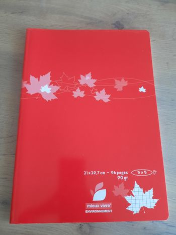Cahier petits carreaux