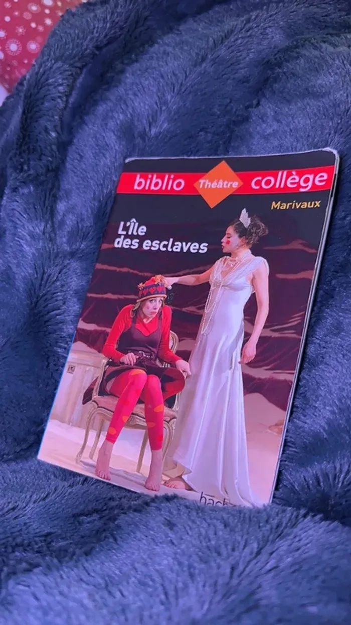 Livre « L’île des esclaves » - photo numéro 2