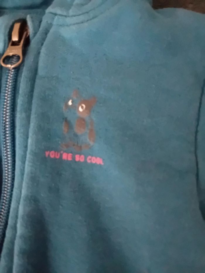 Veste - photo numéro 2