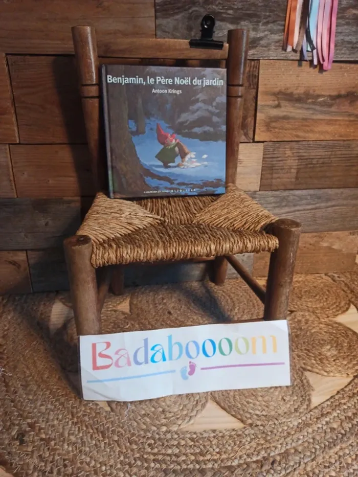 Livre Les drôles de petites bêtes Benjamin le père noël du jardin tbe