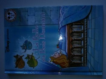 Livre la belle au bois dormant