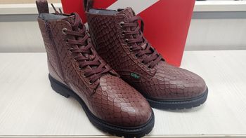 Kickers Dea Croco