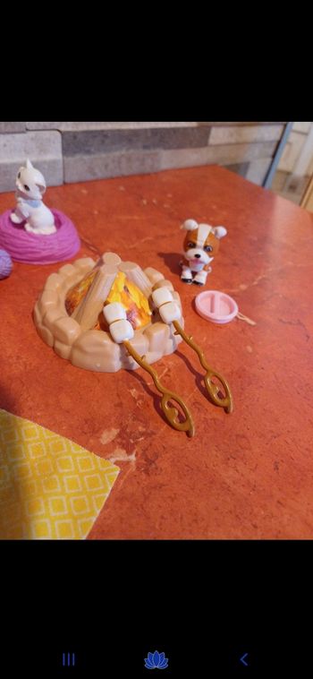 Ensemble chien et chat