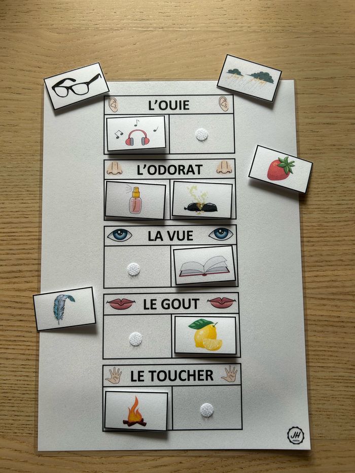 Fiche Montessori : Les 5 sens - photo numéro 2