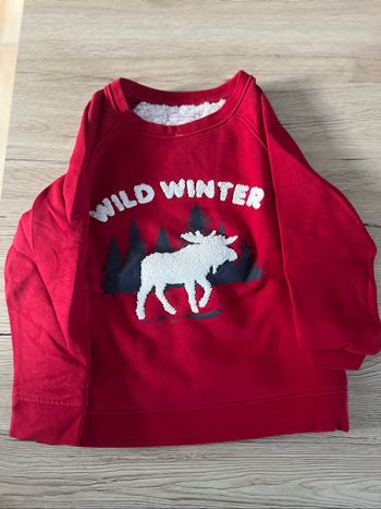 Sweat molletonné
