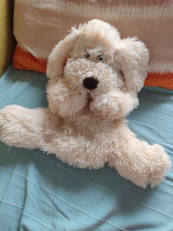 Chien range pyjama etam