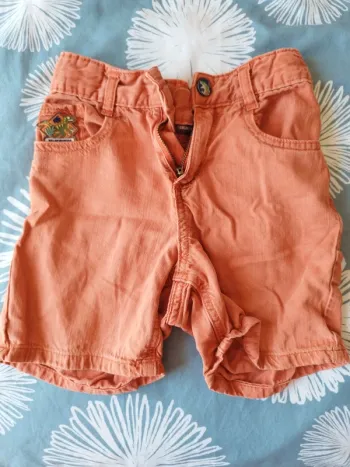 Short dinosaure