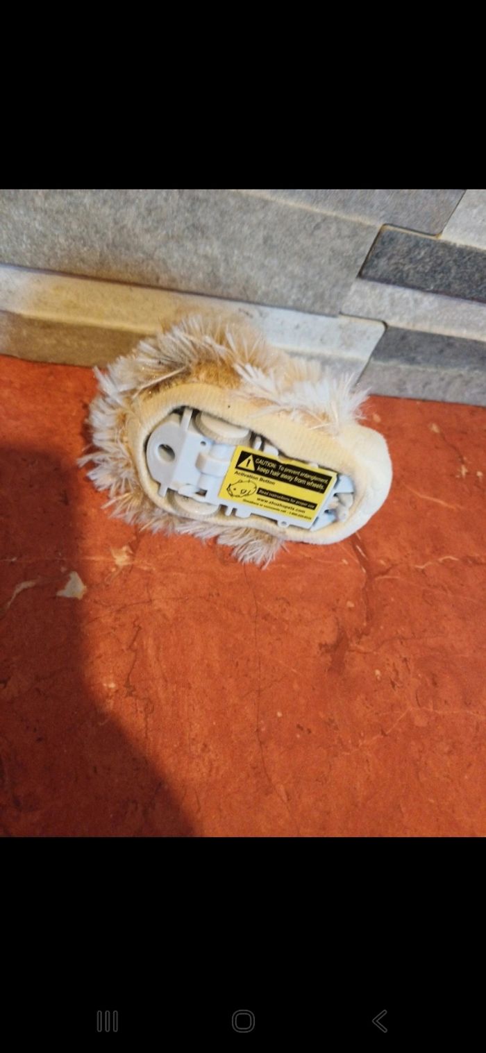 Zhu zhu pets - photo numéro 4