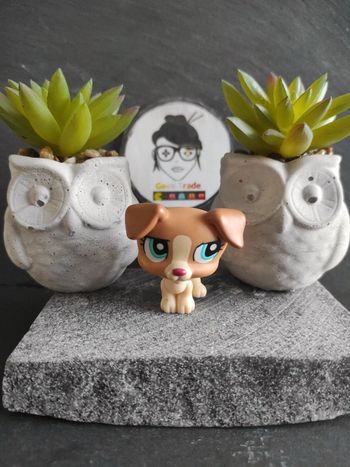 my Littlest Petshop LPS  chien dog Jack Russel 1302 hasbro  #geektradelpschien