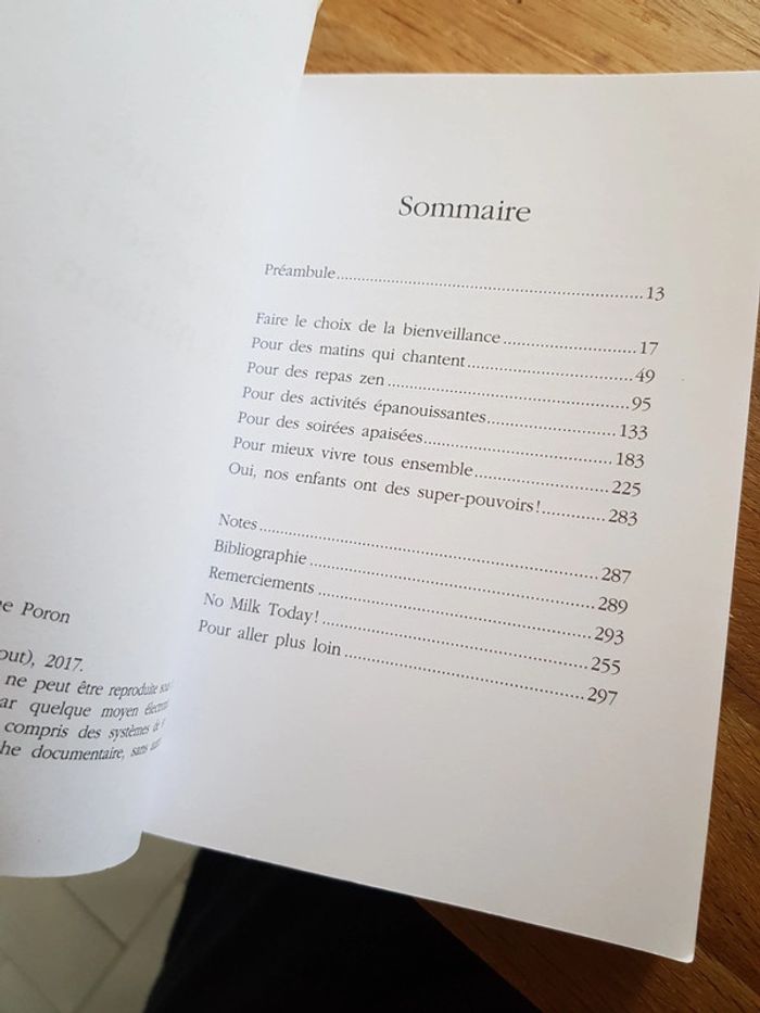 une journée Montessori à la maison- Audrey Zucchi - photo numéro 6