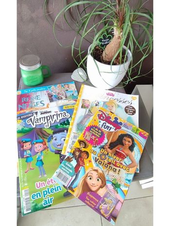 Lot magazines Disney