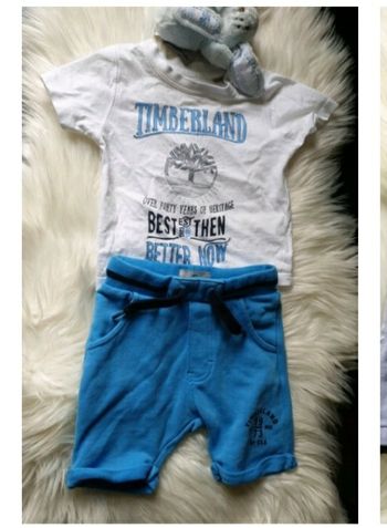 ensemble  timberland