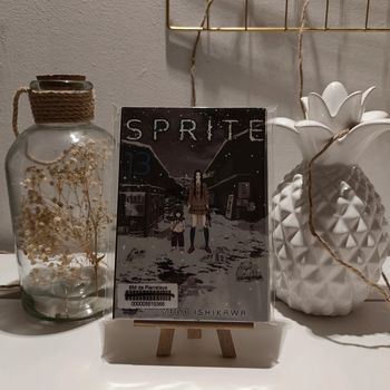 Manga sprite tome 13