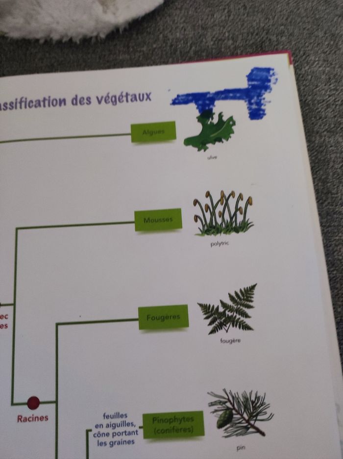 Manuel SVT 3eme - photo numéro 4