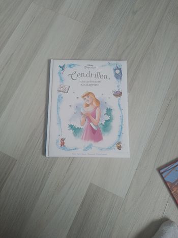 Livre cendrillon une princesse courageuse neuf