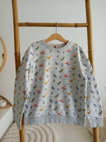 Sweat gris motifs dinosaures multicolores 10 ans