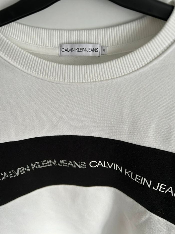 Sweat Calvin Klein 16 ans - photo numéro 4