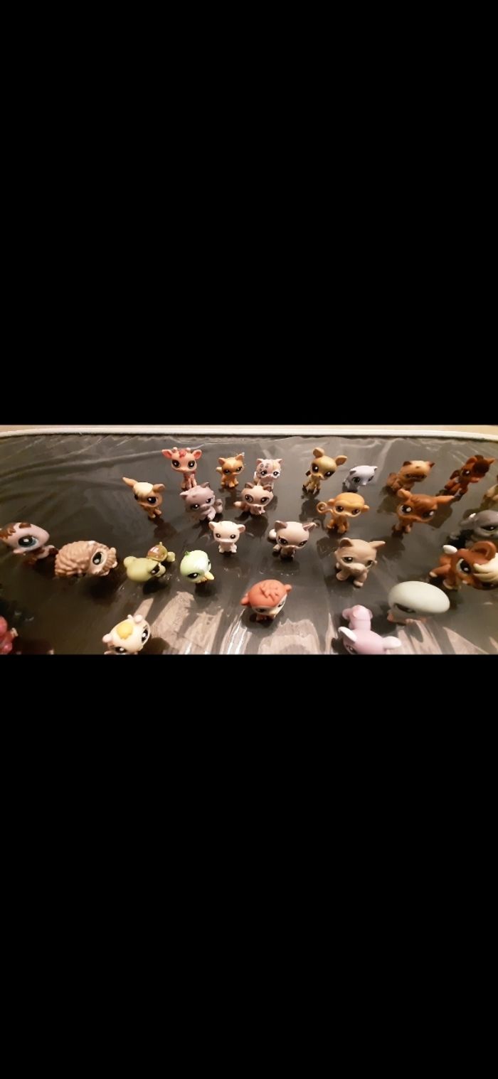 Lot Petshops - photo numéro 4