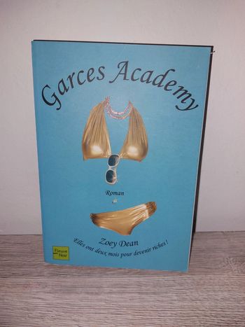Livre garce academy