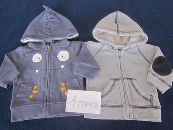 lot vestes