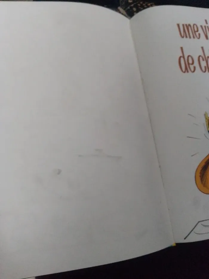 Boulle et bill une vie de chien 9 - photo numéro 5