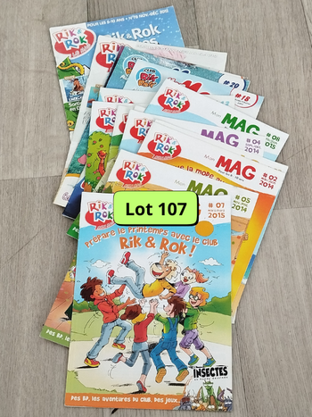 Lot de 16 magazines Rik & Rok année 2012 à 2018 L0107