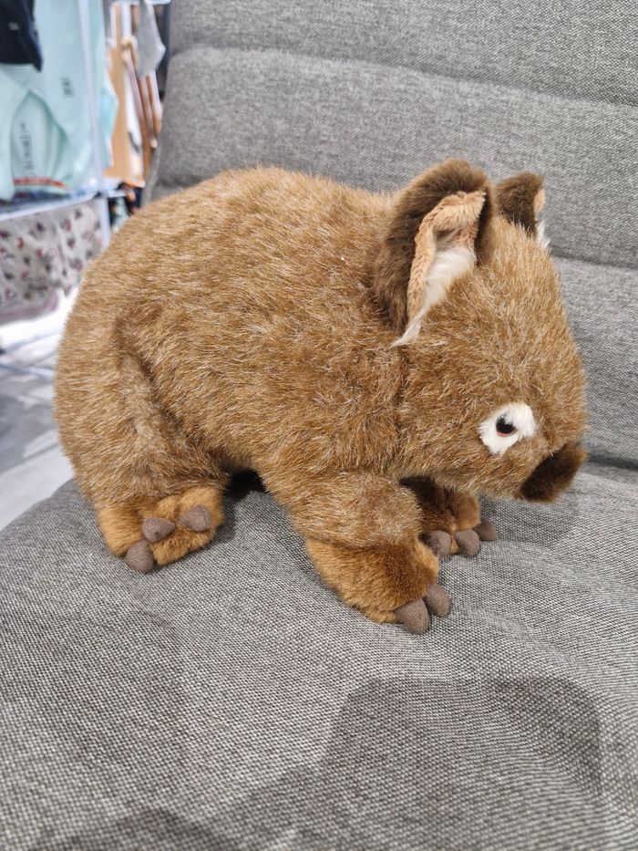 Wombat - photo numéro 2