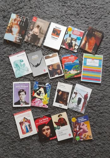 Lot livre Roman idéal collège