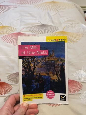 Livre Les Mille et Une Nuits