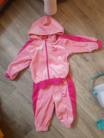 Ensemble Puma