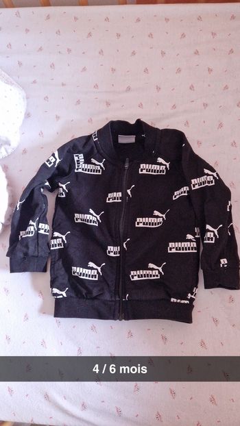 Veste