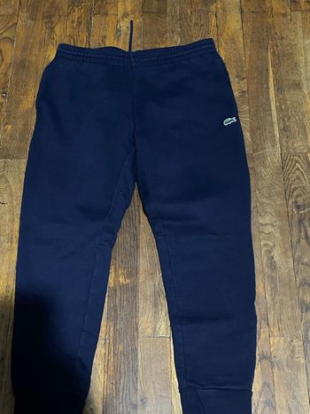Jogging Lacoste 