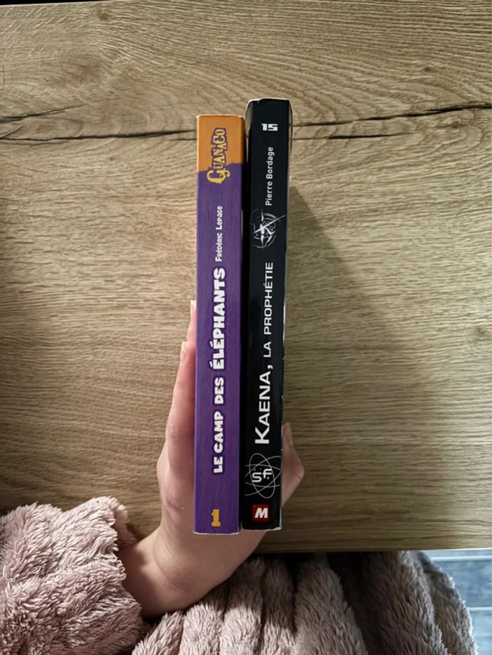 Lot de Livres pour Ados - photo numéro 3