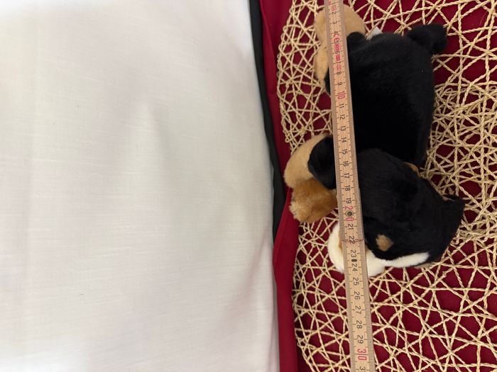 doudou chien bouvier bernois ami plush - photo numéro 6