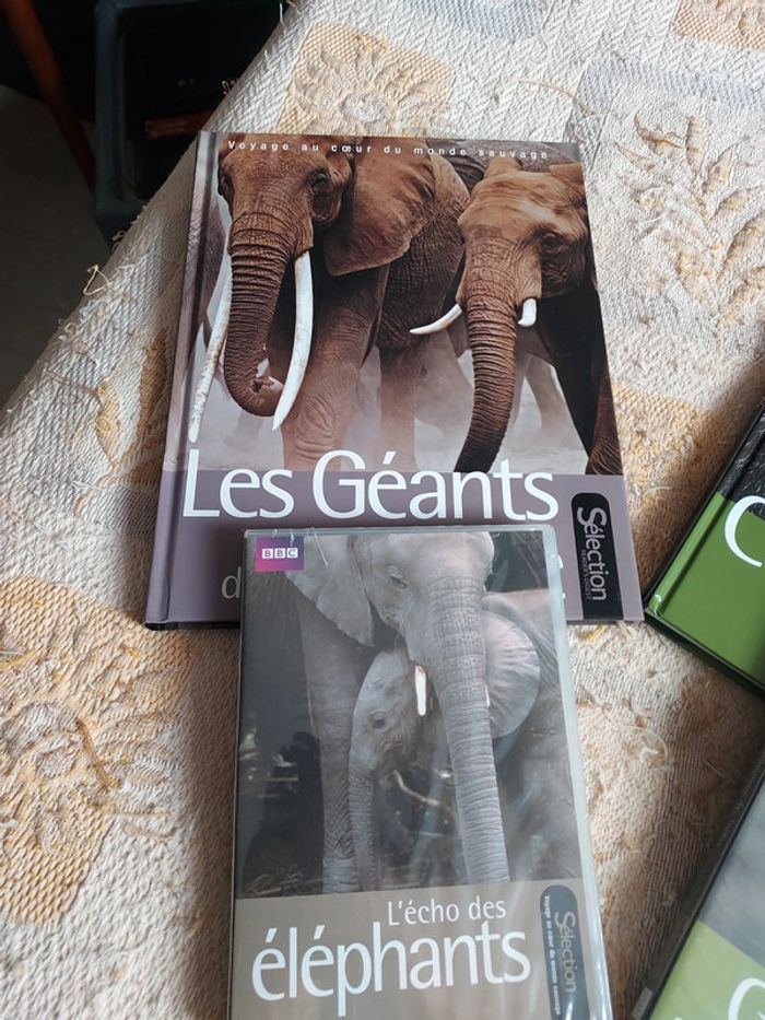 Magnifique lot de 2 livres avec les 2 dvd neuf - photo numéro 2