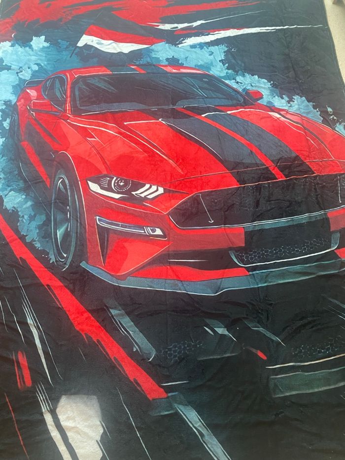 Couverture voiture - photo numéro 2