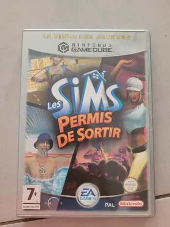 Sims permis de sortir