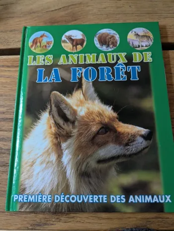 Les animaux de la forêt !