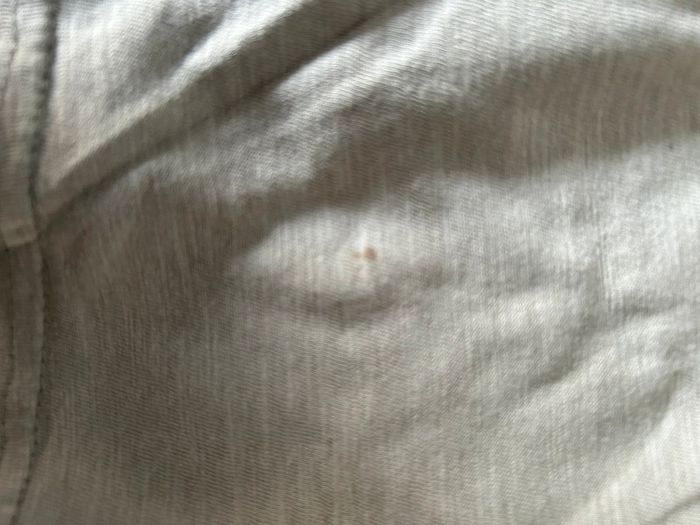 Lot T-shirt manches courtes - photo numéro 3