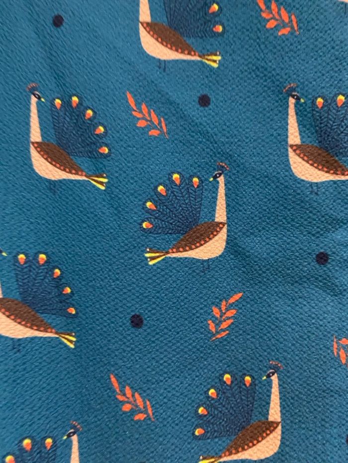 Robe Paon - photo numéro 2