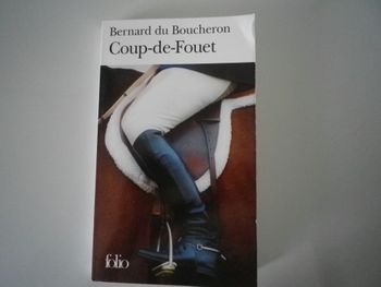 COUP-DE-FOUET