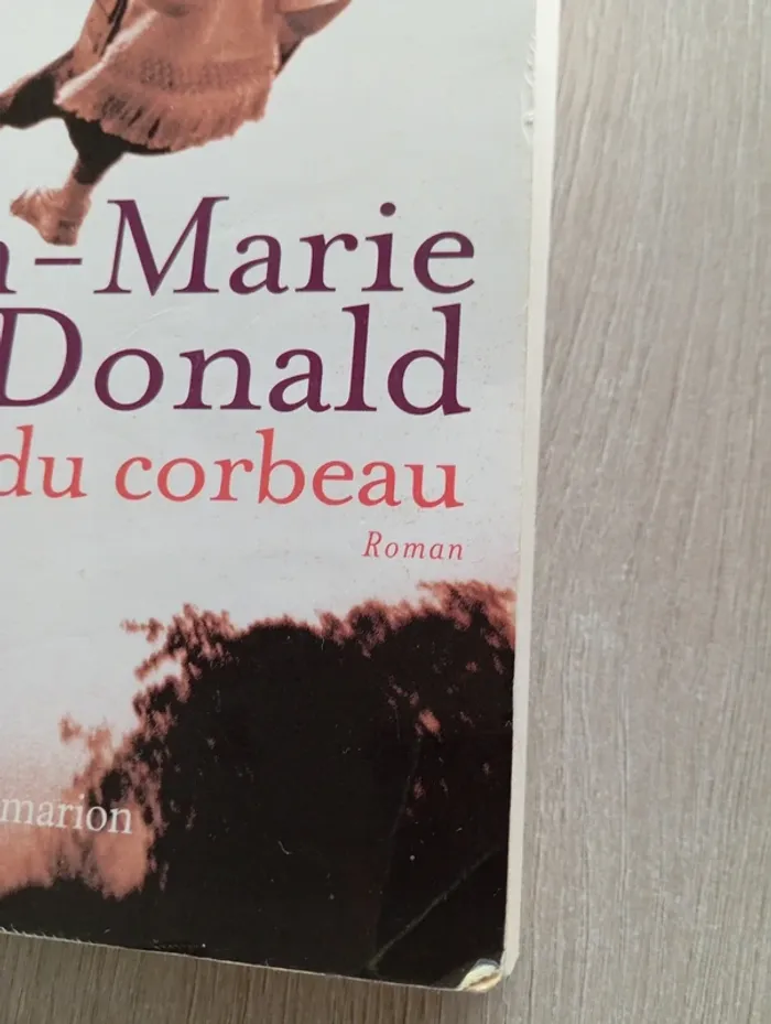 Livre Le Vol du Corbeau - photo numéro 2