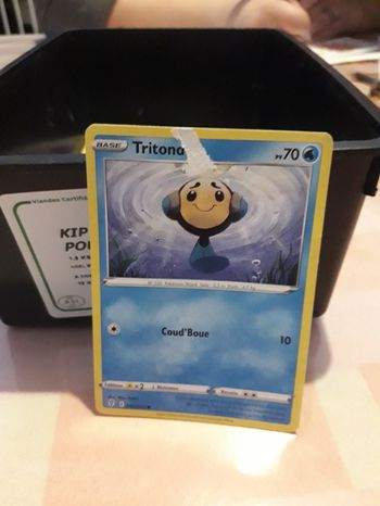 Carte pokemon
