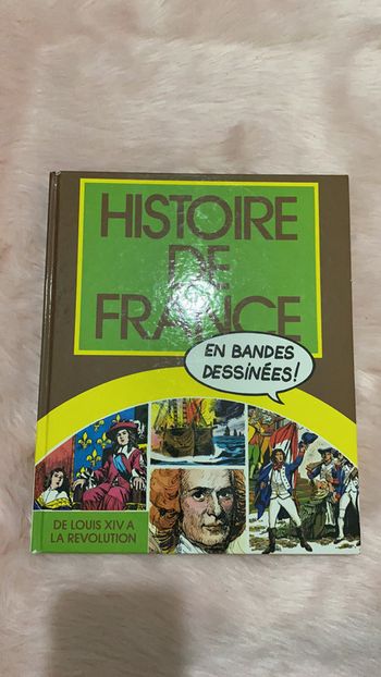 Livre Histoire de France en bandes dessinées France loisirs